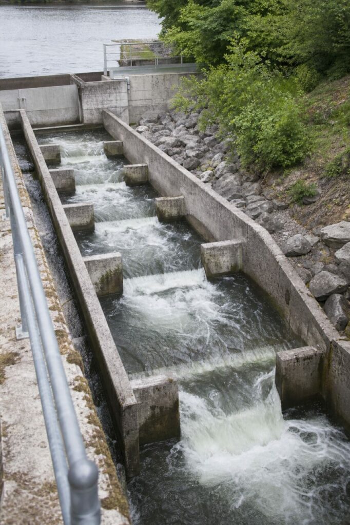 Divisórias entalhadas separam a escada para peixes em bacias de descanso