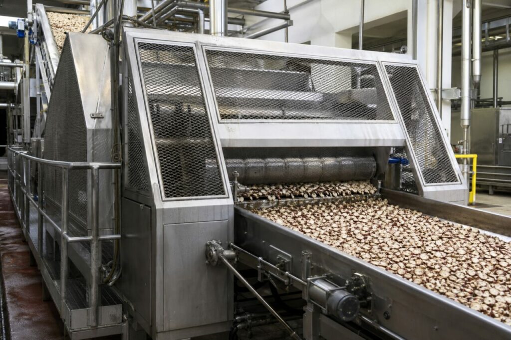 Industrieller Schnitt von Zuckerrüben zu gleichmäßigen Schnitzeln