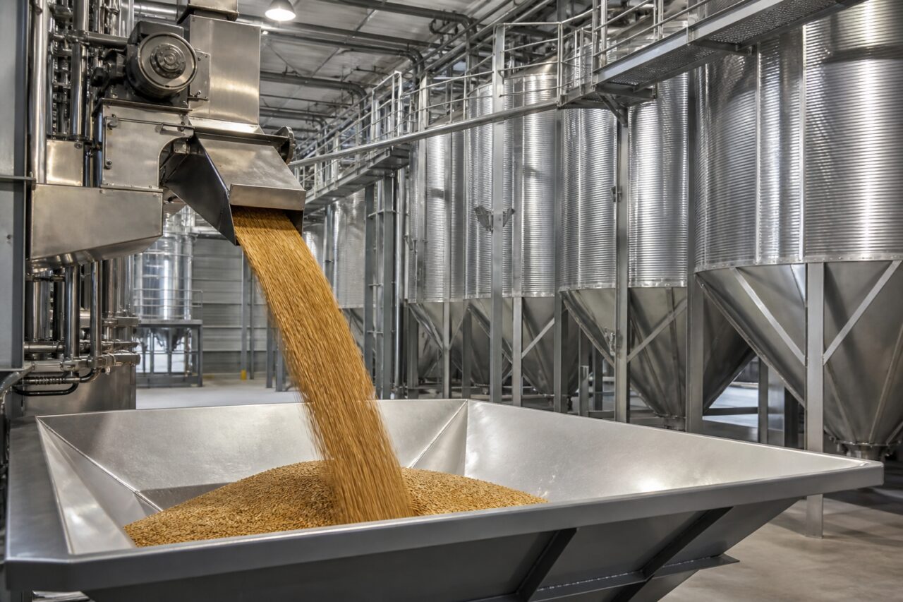 Ricezione dei cereali da birra con tramoggia e silos inox